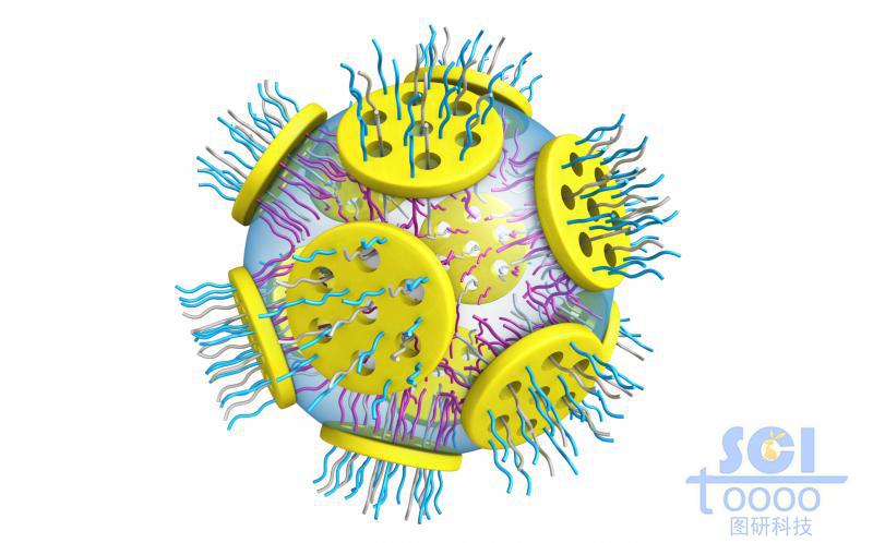 親水鏈段朝內(nèi)疏水鏈段朝外形成的囊泡