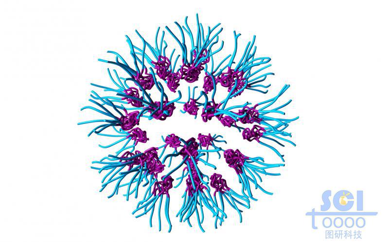 高分子鏈段成簇團(tuán)聚之后形成球體