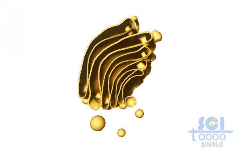 單獨的高爾基體