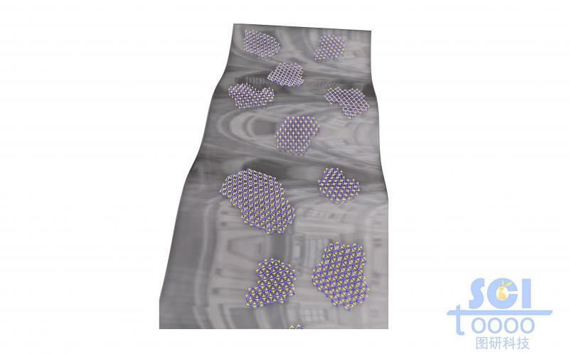 柔軟透明的云母基底上附著的二硫化錸