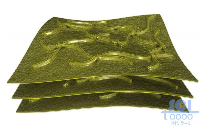 柔性石墨烯表面附著彎曲的碳納米管之后整體包裹化合物層