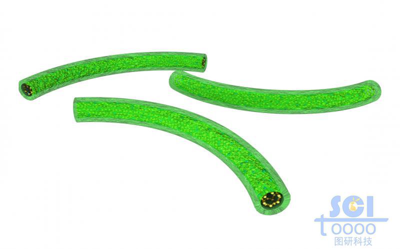 帶切口的，外層包裹硫化合物的彎曲碳納米管