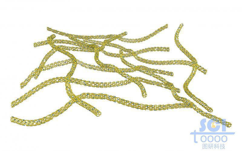 管壁帶原子缺陷的碳納米管