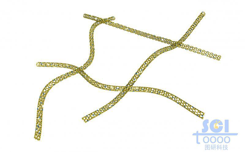 管壁帶原子缺陷的碳納米管