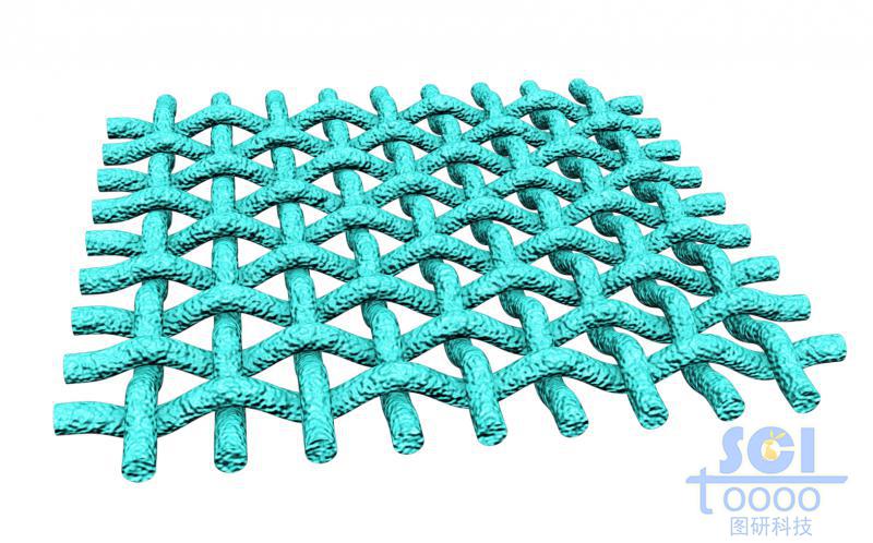 縱橫交錯(cuò)的網(wǎng)狀膜結(jié)構(gòu)