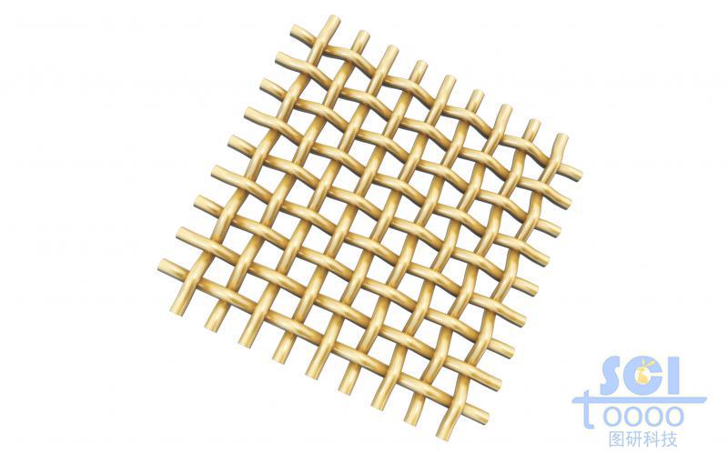 縱橫交錯(cuò)的網(wǎng)狀膜結(jié)構(gòu)