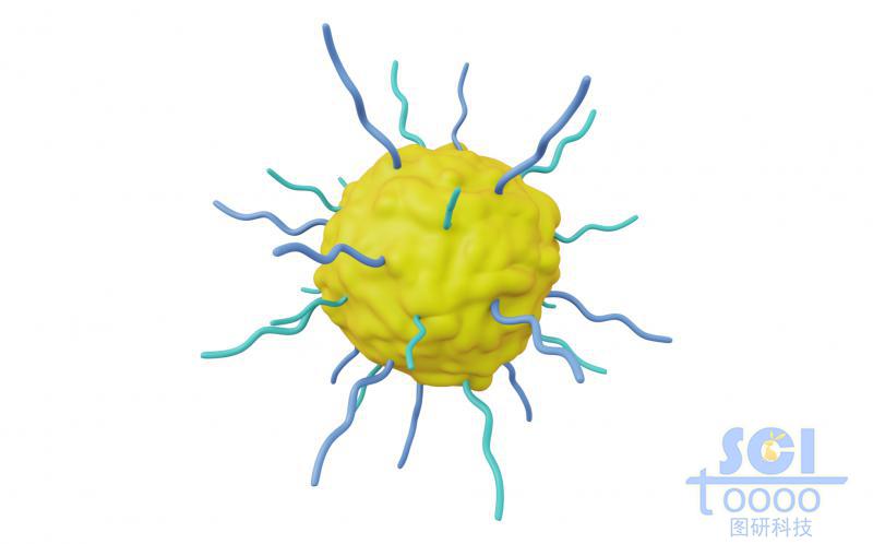 表面凹凸起伏帶高分子鏈段的納米藥物