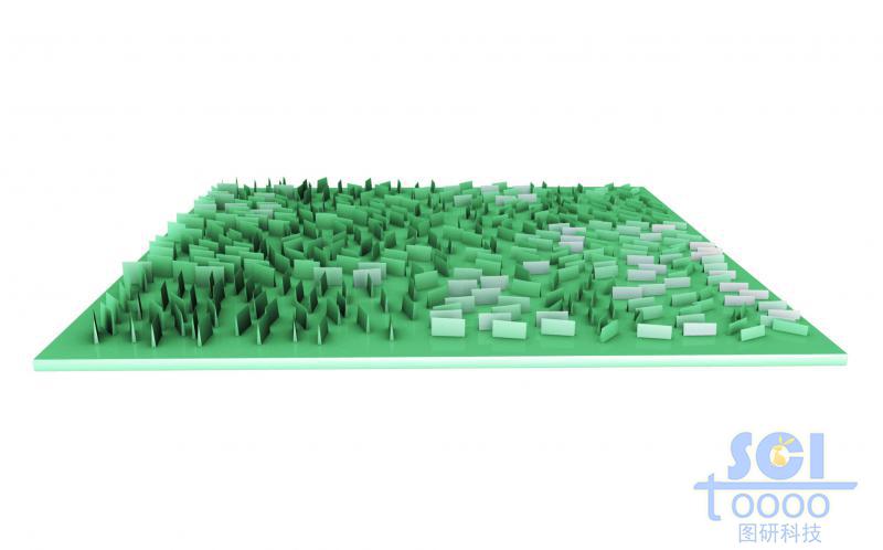納米片高矮隨機(jī)排布的基底