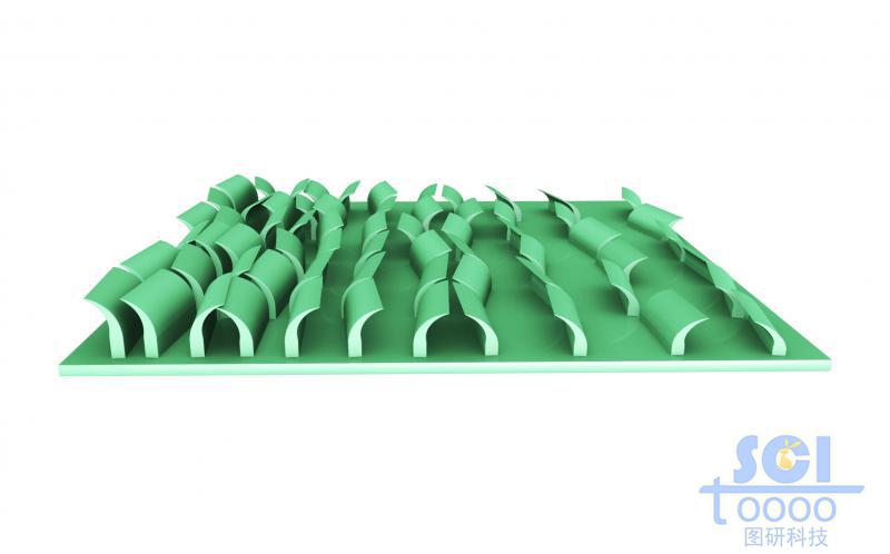 彎曲的納米片高矮整齊排列的基底