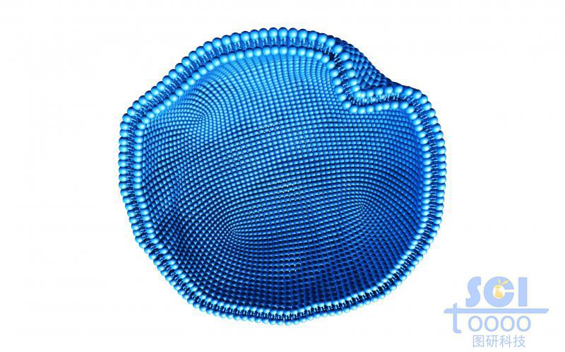 帶內(nèi)吞口的細(xì)胞膜結(jié)構(gòu)