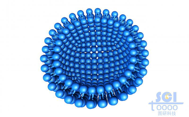 帶磷脂雙分子層的細(xì)胞膜