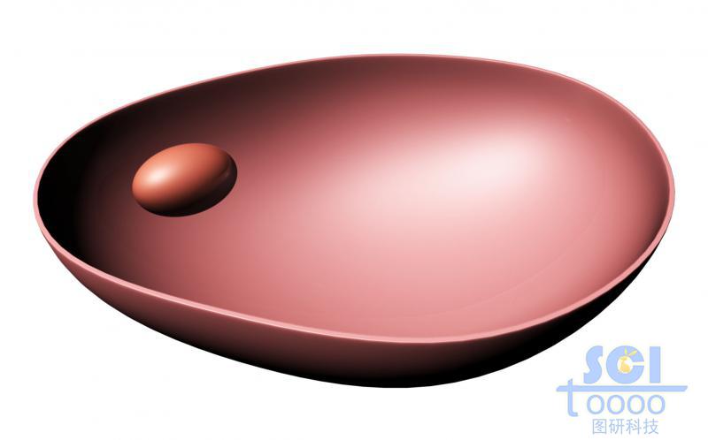 半切面的細(xì)胞膜