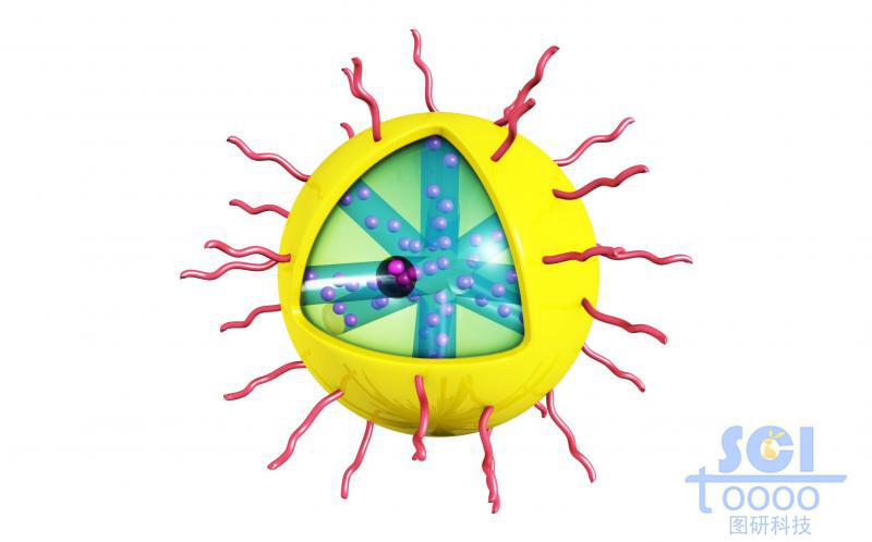 外層修飾高分子鏈段，硫化鉬/金屬化合物膜包裹的，孔道內(nèi)帶藥物結(jié)構(gòu)的放射狀介孔球