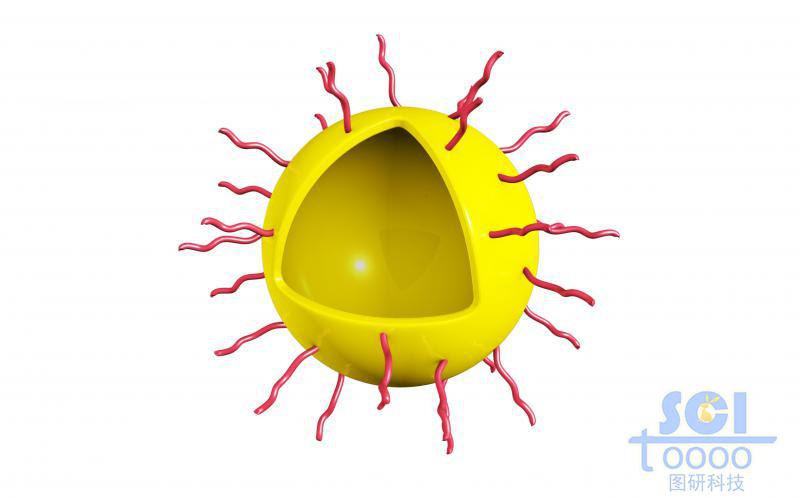 外帶高分子鏈段修飾的空心納米球