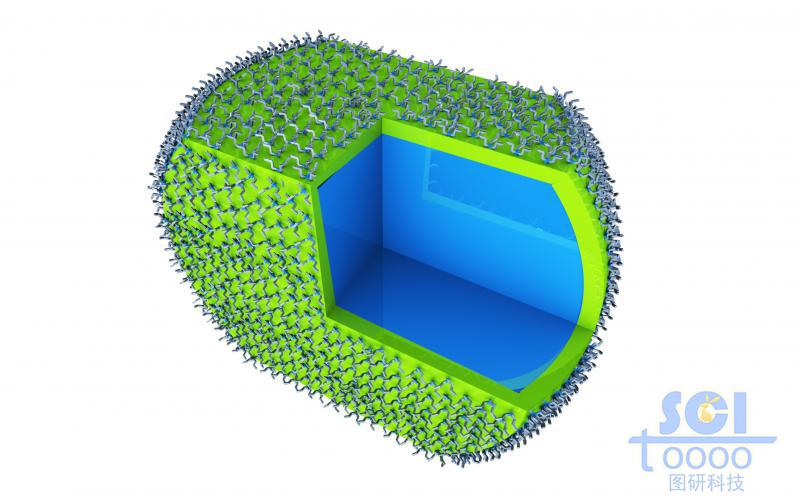 八分之一切口的內(nèi)部實心的高分子聚合體外層分部小分子基團