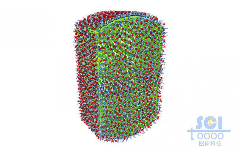 內(nèi)嵌小分子藥物的高分子聚合體外層分部小分子基團(tuán)基團(tuán)