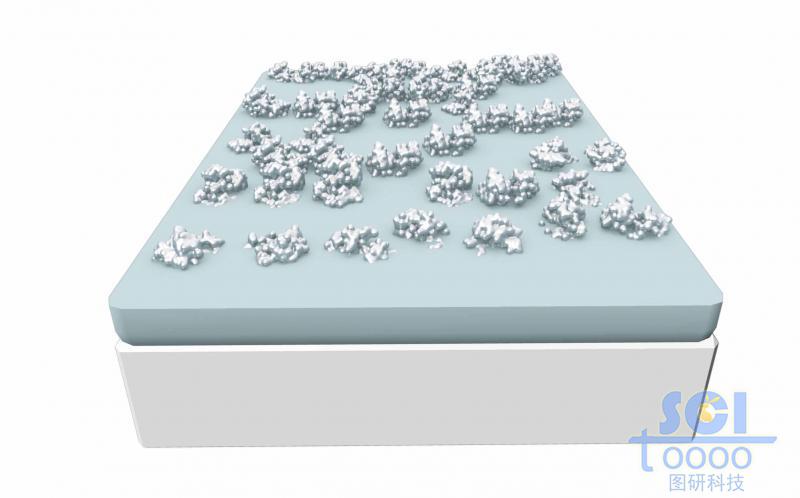 硅/氧化物基底板上生長出高分子團(tuán)簇的宏觀示意