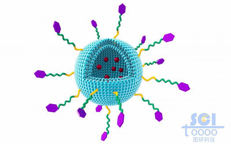 表面修飾小分子基團的脂質(zhì)體囊泡內(nèi)包含DOX藥物