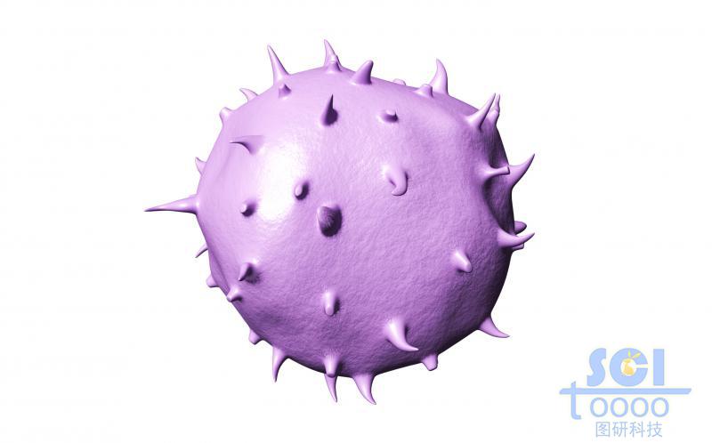 帶觸角的細(xì)胞單體