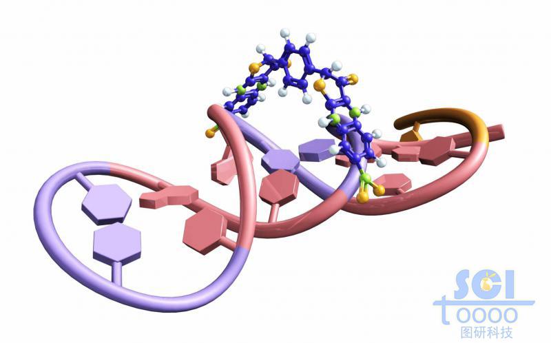 帶小分子卡環(huán)的單鏈RNA結(jié)構