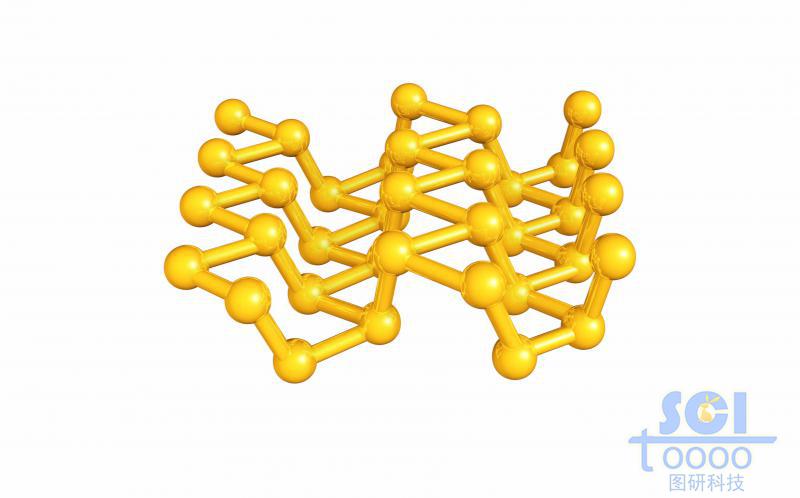 黑鱗網(wǎng)狀結(jié)構(gòu)
