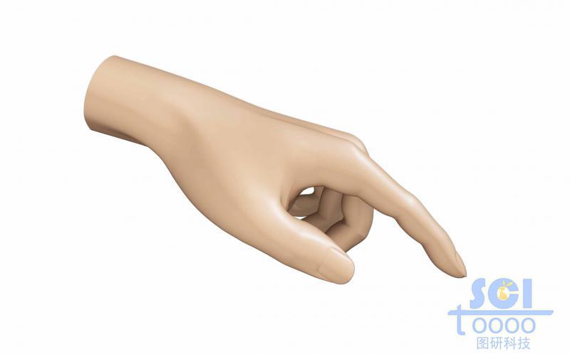 手指結(jié)構(gòu)