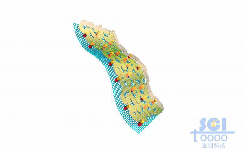 柔性石墨烯基底上附著氧化硅晶體