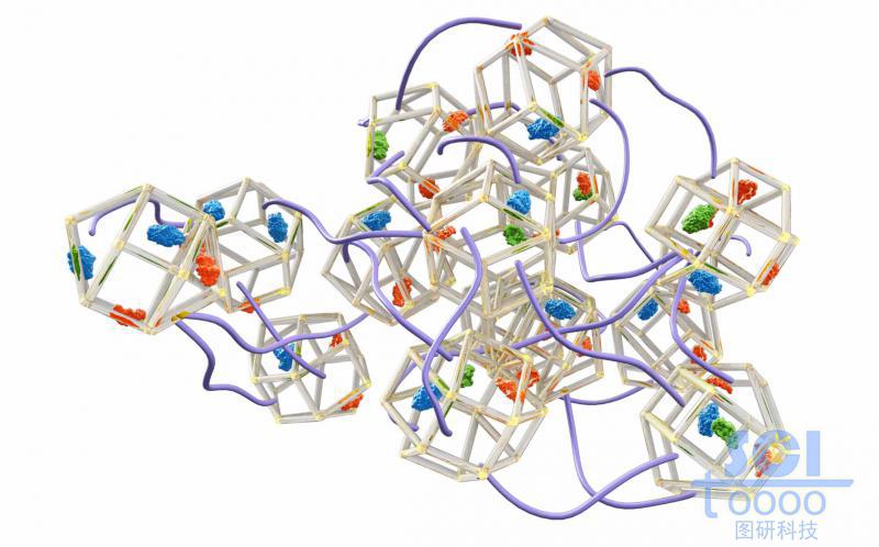 聚多巴胺@酶/MOF復(fù)合物