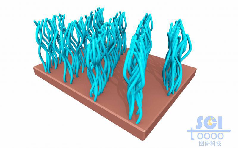 納米圖案化聚合物刷/高分子鏈段簇