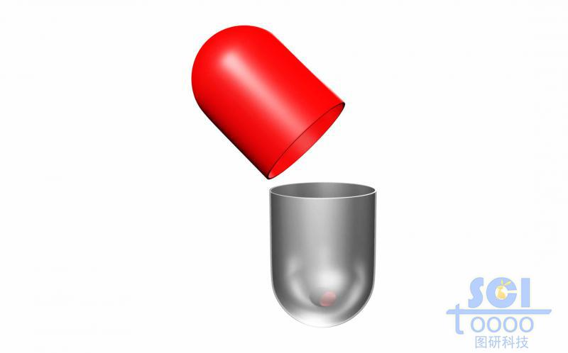 打開(kāi)的膠囊結(jié)構(gòu)