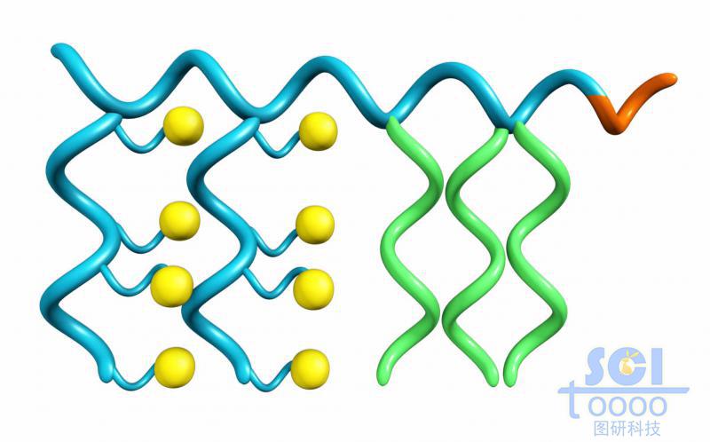 多段式高分子鏈段示意圖