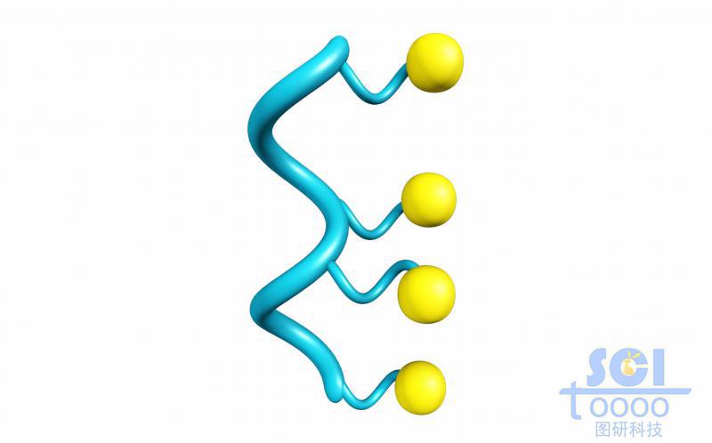 多段式高分子鏈段示意圖