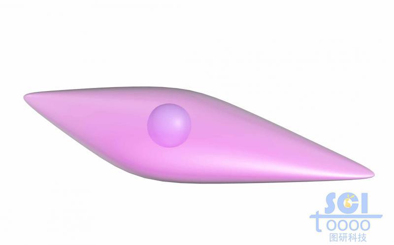 帶細(xì)胞核的梭型細(xì)胞單體