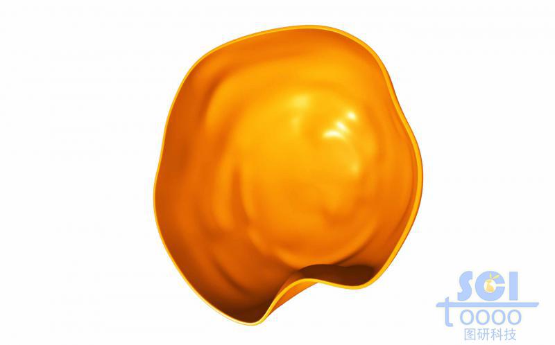 帶內(nèi)吞口的半切面的細胞膜