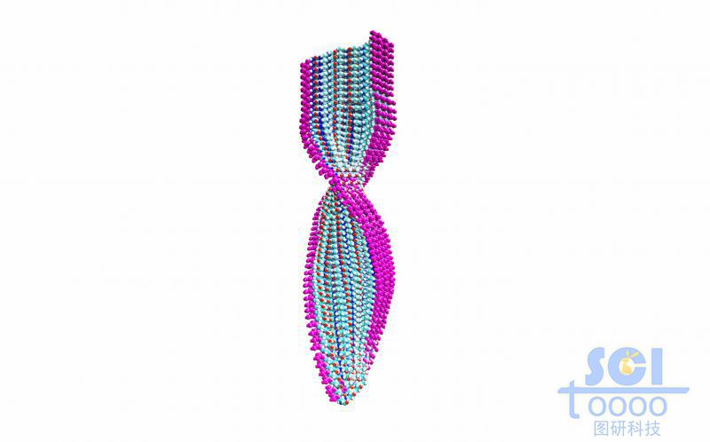 纖維的內部分子排布