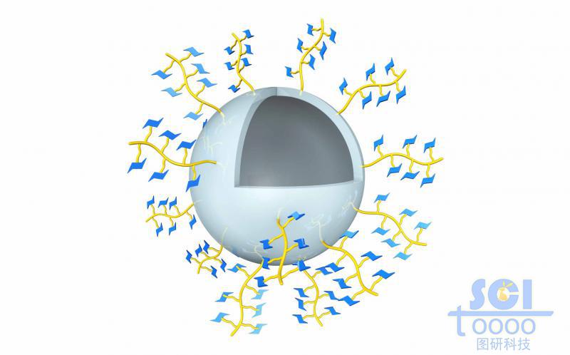 帶小分子基團(tuán)的高分子鏈段形成的空心球殼