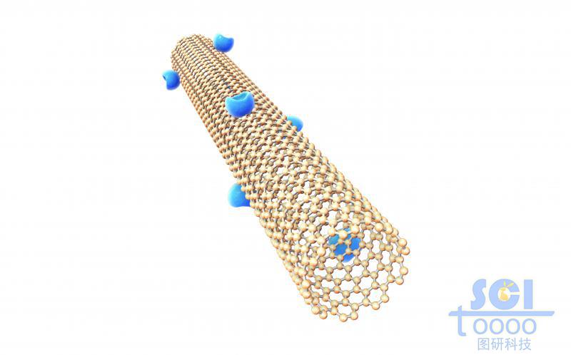 表面帶生物受體的碳納米管
