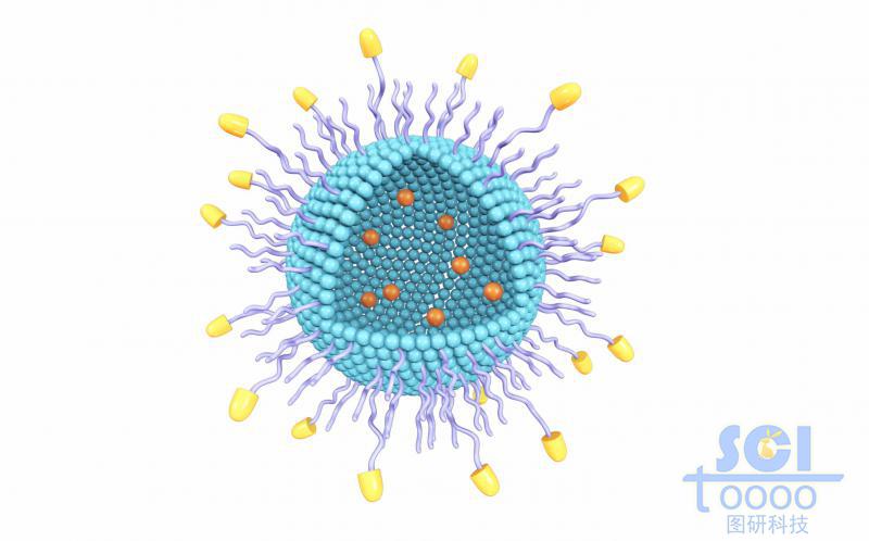 表面帶生物受體的空心納米藥物球內(nèi)含DOX藥物