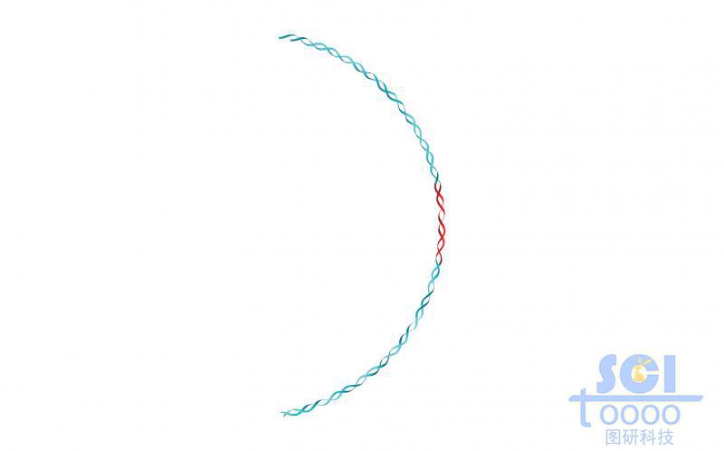 質(zhì)粒環(huán)