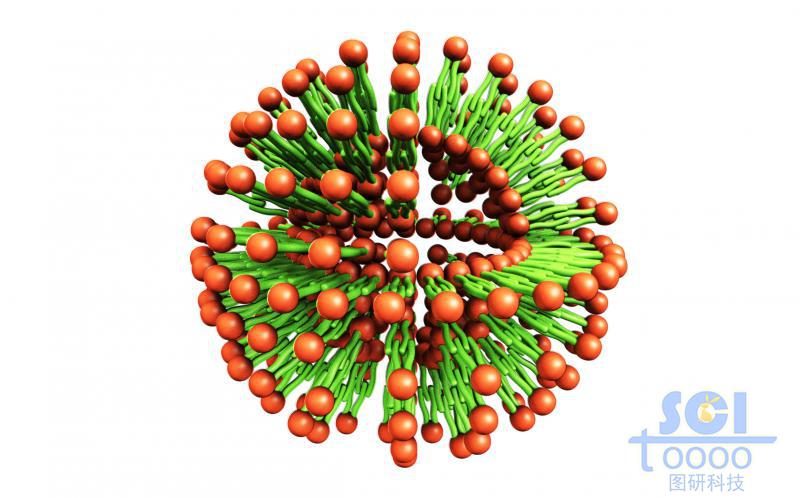 負載阿霉素（Dox）的脂質體顆粒