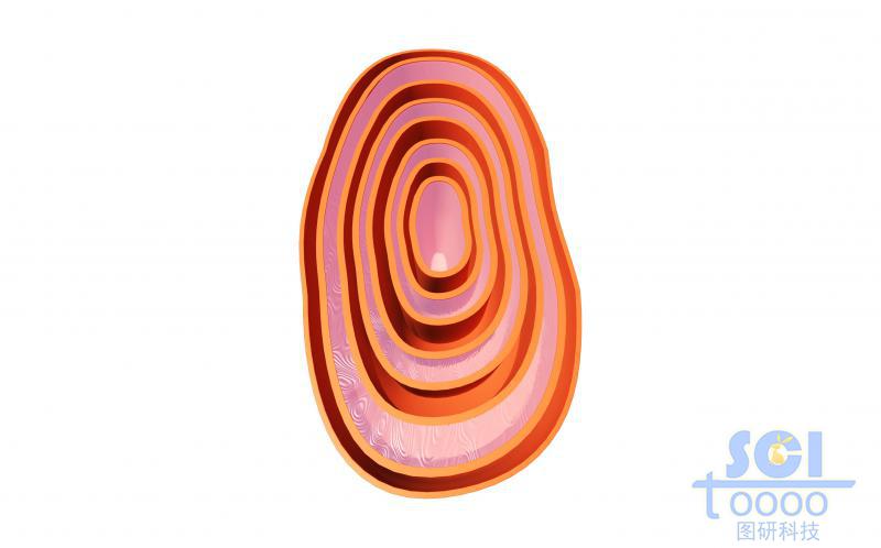 線粒體結(jié)構(gòu)