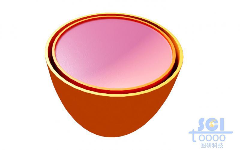 半切面線粒體結(jié)構(gòu)