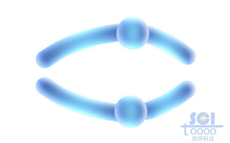 染色體結(jié)構(gòu)