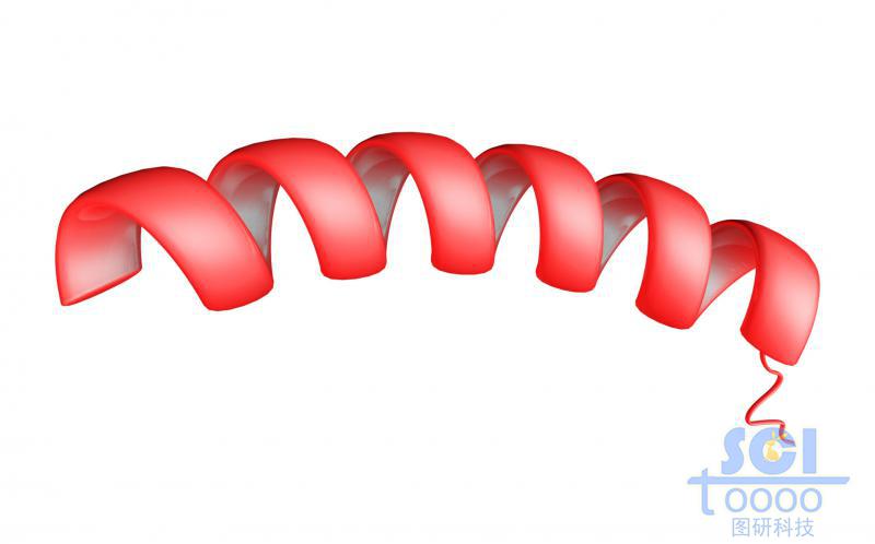 短肽鏈結(jié)構(gòu)