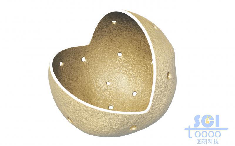 帶核孔的八分之一切口的細(xì)胞核