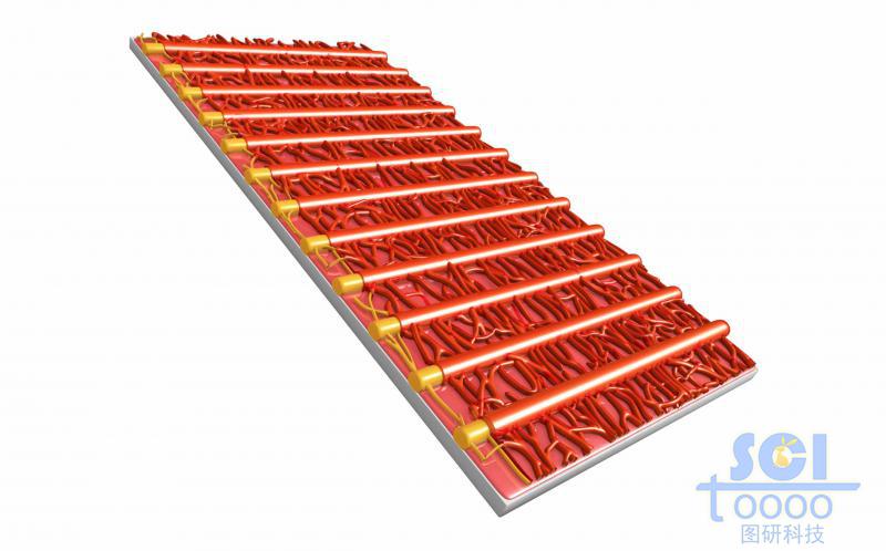 高分子鏈段堆積形成的疏水膜