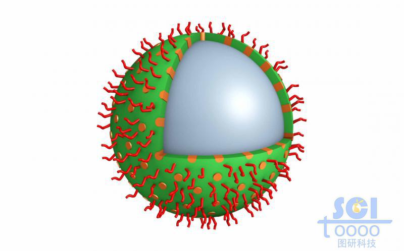 表面均勻介孔且孔道中有填充的核殼結(jié)構(gòu)