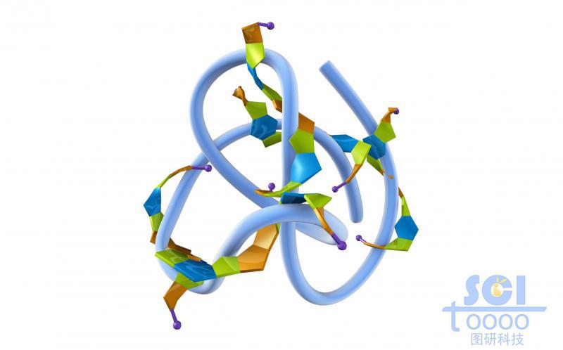 高分子鏈段夾雜小分子團聚