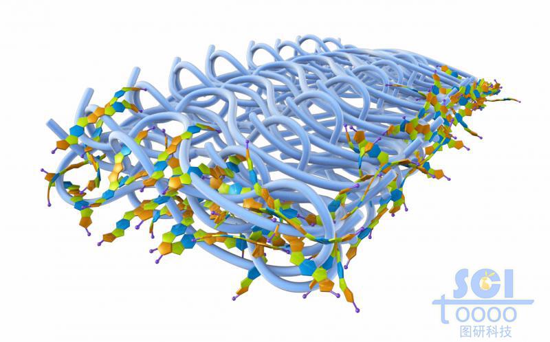 高分子鏈段堆積形成膜材料