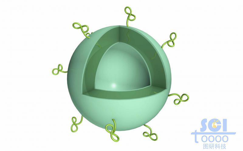 高分子鏈段交聯(lián)形成的空心球殼